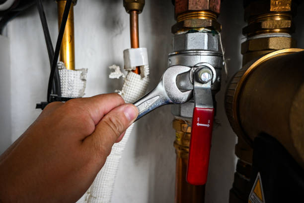 Best Plumbing Inspection Services  in Lincoln, AL